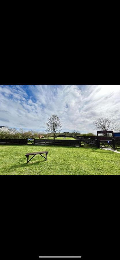 Ashford  Tarka Holiday Park מראה חיצוני תמונה